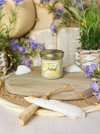 Bougie parfumée Tilleul